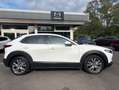 Mazda CX-30 SELECTION SKYACTIV-G 2.0 M Hybrid *i-Activsense-Pa Weiß - thumbnail 5