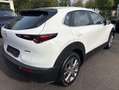 Mazda CX-30 SELECTION SKYACTIV-G 2.0 M Hybrid *i-Activsense-Pa Weiß - thumbnail 4