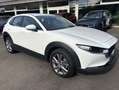 Mazda CX-30 SELECTION SKYACTIV-G 2.0 M Hybrid *i-Activsense-Pa Weiß - thumbnail 6
