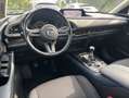 Mazda CX-30 SELECTION SKYACTIV-G 2.0 M Hybrid *i-Activsense-Pa Weiß - thumbnail 7