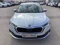 Skoda Octavia 4x4 Ambition TDI DSG Argent - thumbnail 2