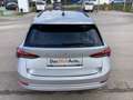 Skoda Octavia 4x4 Ambition TDI DSG Argent - thumbnail 13