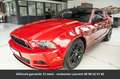 Ford Mustang Tout compris hors homologation 4500e Rouge - thumbnail 1