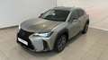 Lexus UX 200 F SPORT siva - thumbnail 1