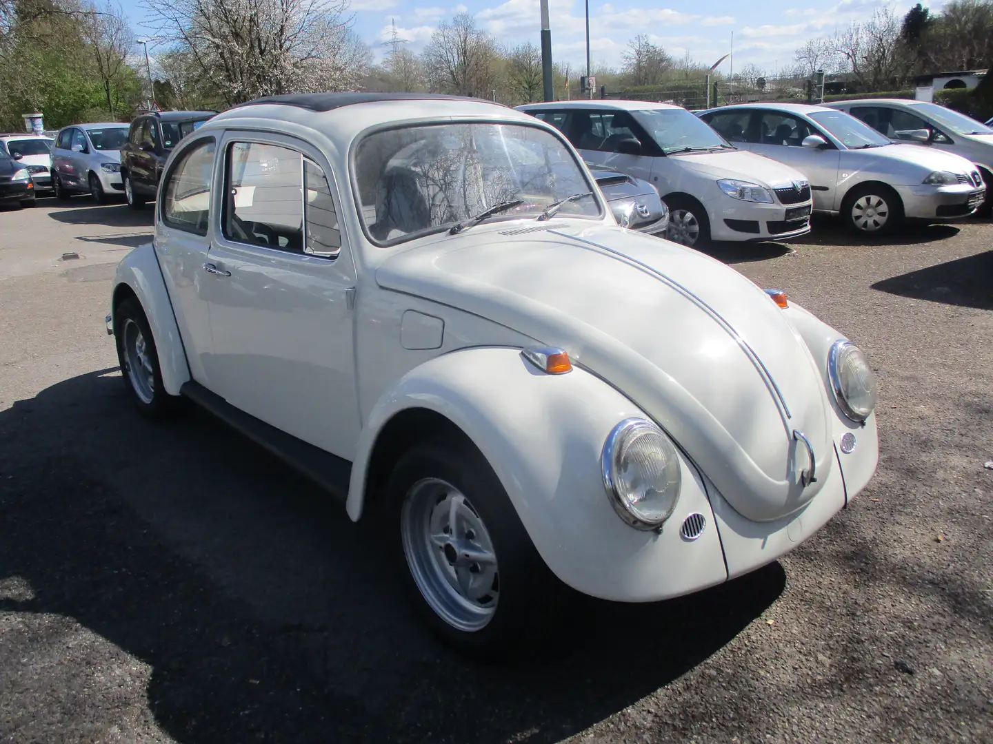 Volkswagen Käfer Alb - 1