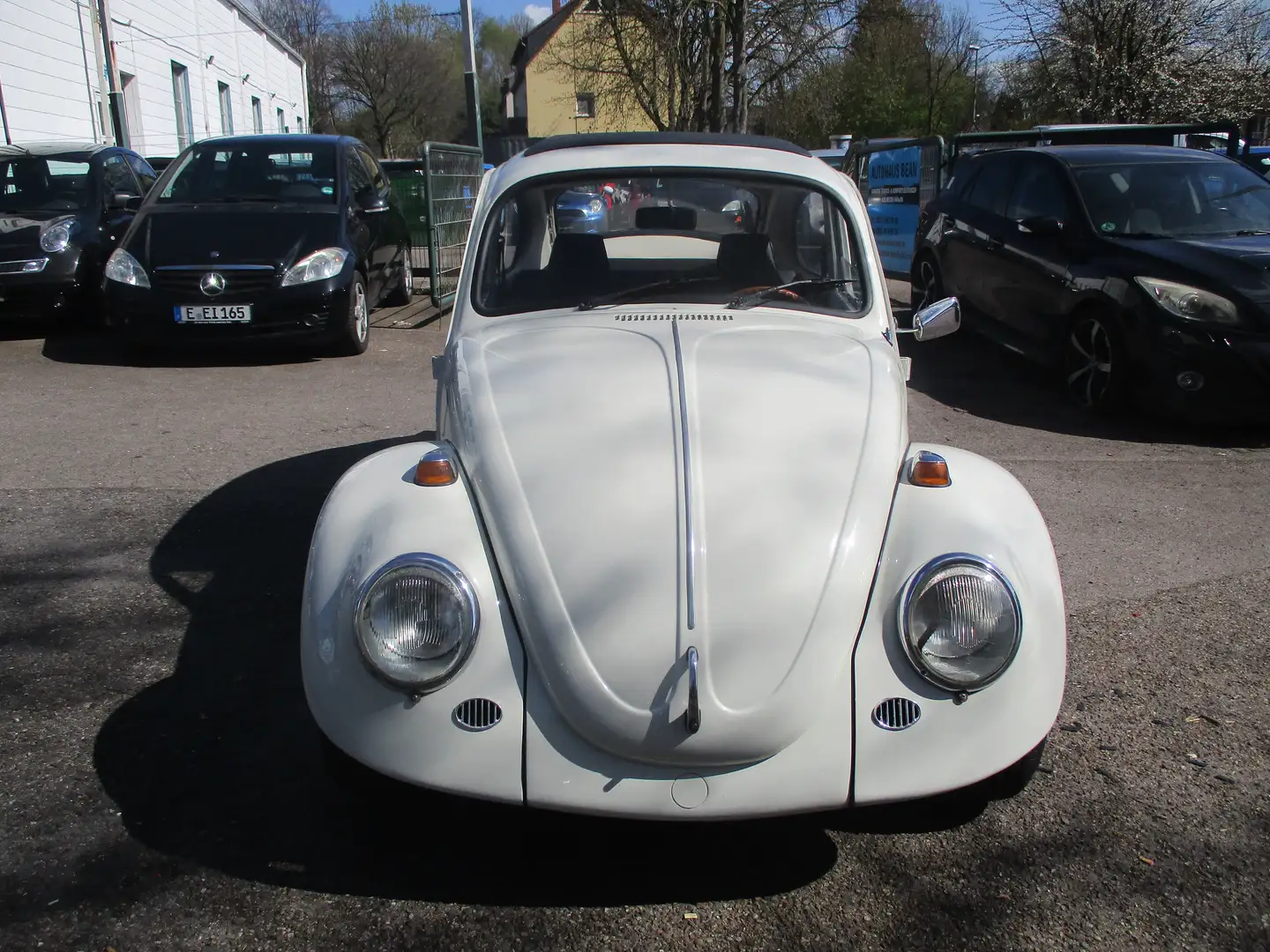Volkswagen Käfer Alb - 2