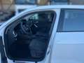 Audi Q2 1.5 35 TFSI DSG S-Tronic- S-Line Klima Blanc - thumbnail 7