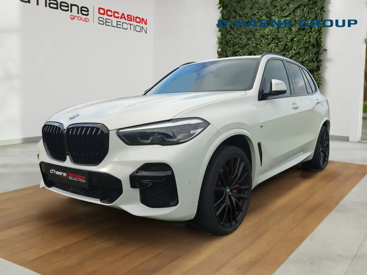 BMW X5 2.0 dAS xDrive25 AdBlue (EU6AP) Weiß - 1