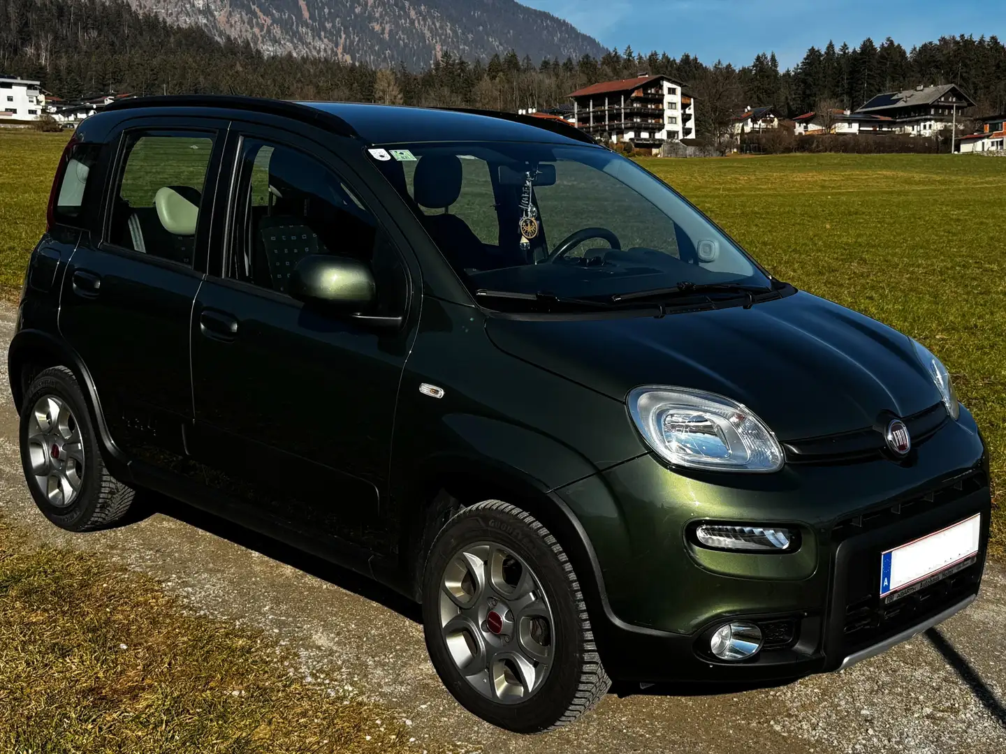 Fiat Panda Panda 4x4 1,3 Multijet II 75 Grün - 2
