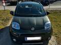 Fiat Panda Panda 4x4 1,3 Multijet II 75 Grün - thumbnail 8