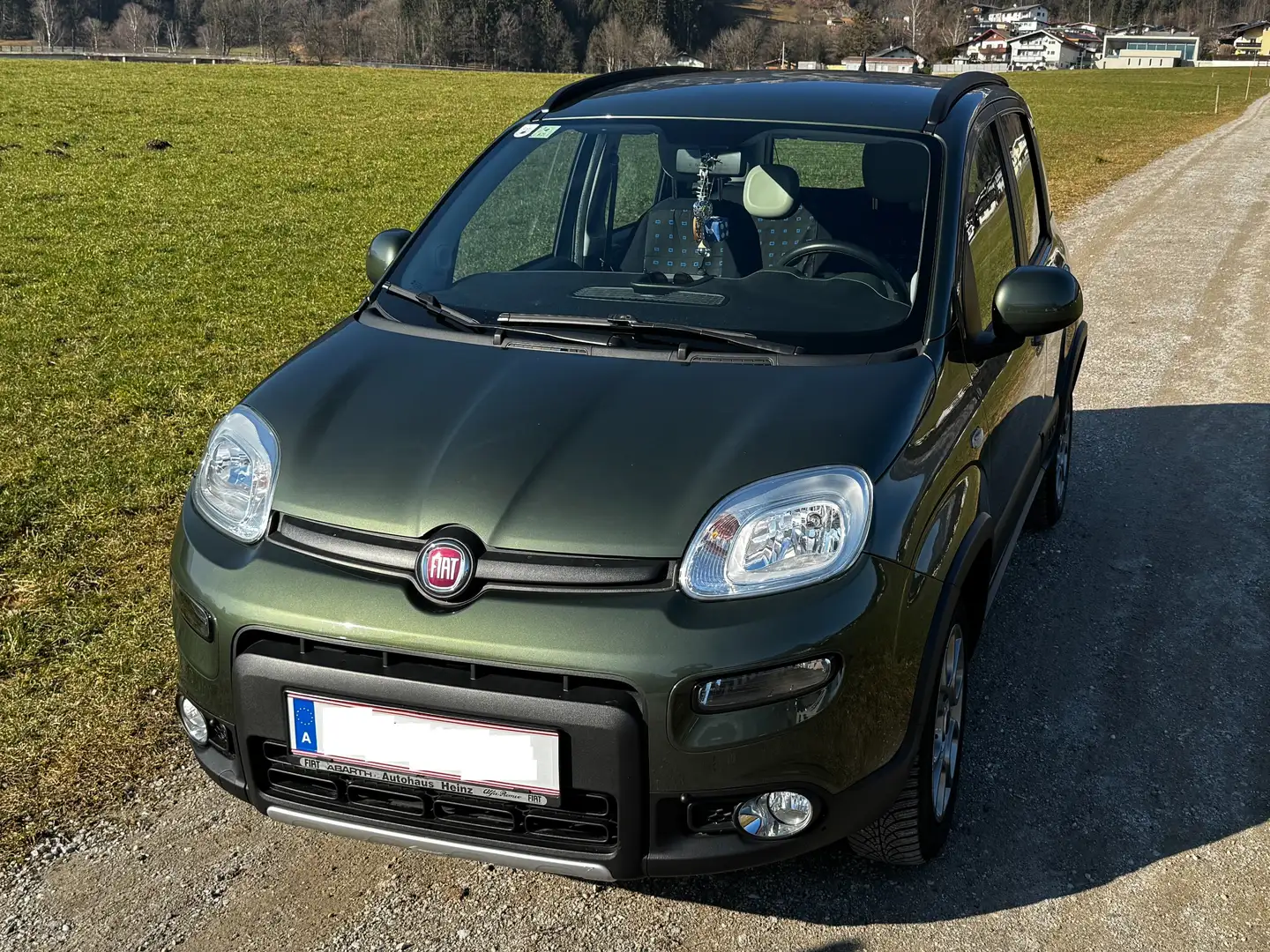Fiat Panda Panda 4x4 1,3 Multijet II 75 Grün - 1