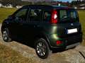 Fiat Panda Panda 4x4 1,3 Multijet II 75 Grün - thumbnail 5