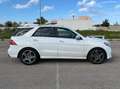 Mercedes-Benz GLE 250 GLE 250d 4matic premium plus Bianco - thumbnail 5