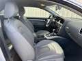 Audi A5 V6 3.0 TDI 245 Ambition Luxe Quattro S tronic 7 Wit - thumbnail 6