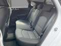 Kia Ceed / cee'd CEED 1.5T DCT VISION *NAVI*KAMERA*SHZ*PDC*ALU* Blanc - thumbnail 8