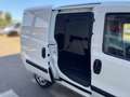 Fiat Doblo SX Kasten Finanzierung Garantie Weiß - thumbnail 13