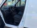 Fiat Doblo SX Kasten Finanzierung Garantie Weiß - thumbnail 8