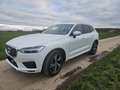 Volvo XC60 D4 Geartronic RDesign Blanc - thumbnail 4