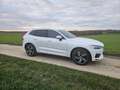 Volvo XC60 D4 Geartronic RDesign Blanc - thumbnail 1