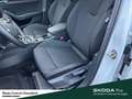 Skoda Octavia Combi Sportline Pano Infotainment-Paket Business C Weiß - thumbnail 14