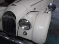 Morgan Plus 4 DHC Blanc - thumbnail 24