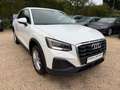 Audi Q2 35 TDI S-Tronic ACC Kamera LED Spurhalteassi Weiß - thumbnail 1