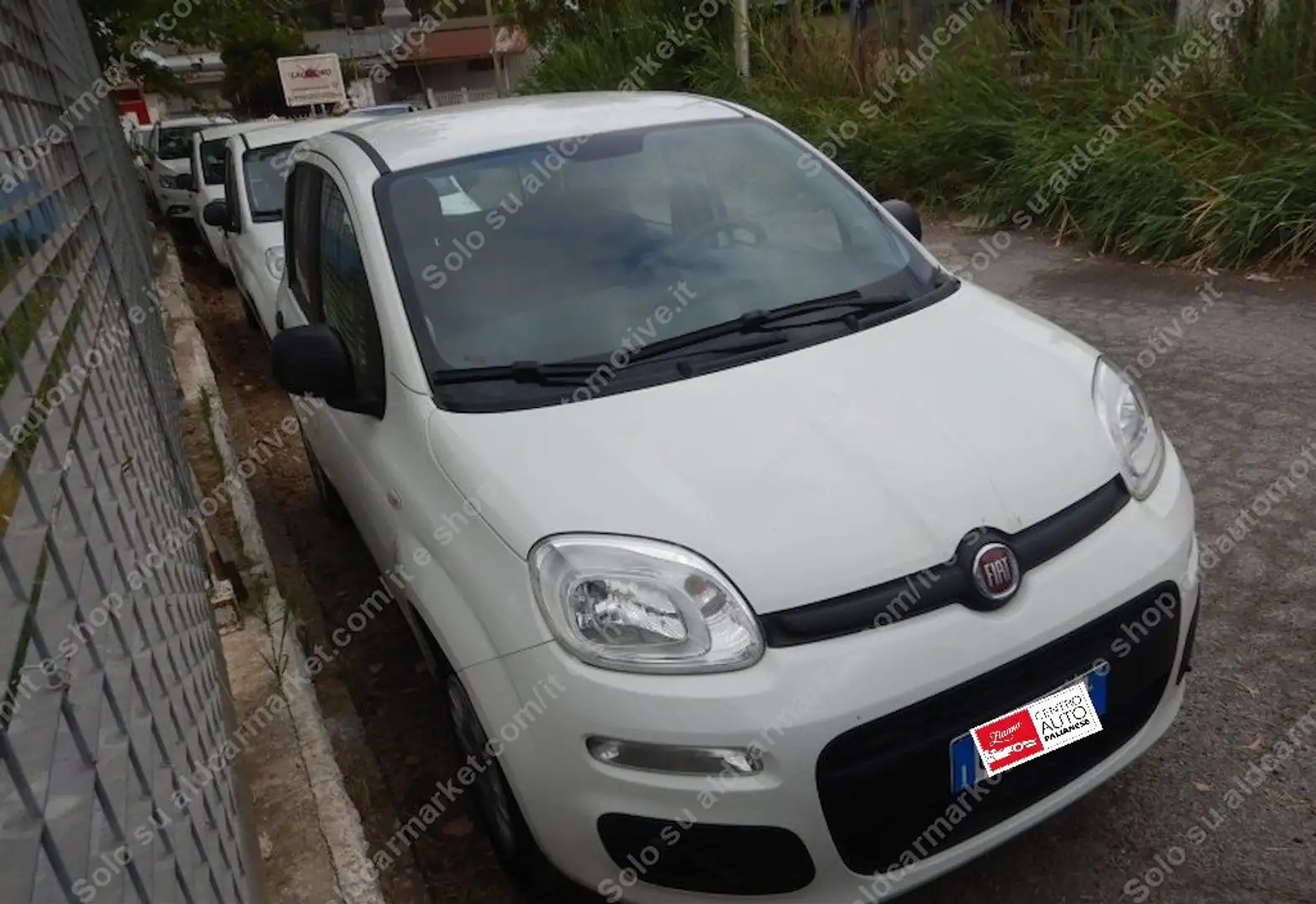 Fiat Panda Panda III 2016 1.2 Easy easypower Gpl 69cv my19 Bianco - 2