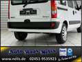 Renault Kangoo 1,2 Privilege Klima 4Season 1.Hand Weiß - thumbnail 5