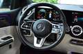 Mercedes-Benz B 250 Premium | Leder int. | Led | Sfeerverlichting | Gris - thumbnail 15
