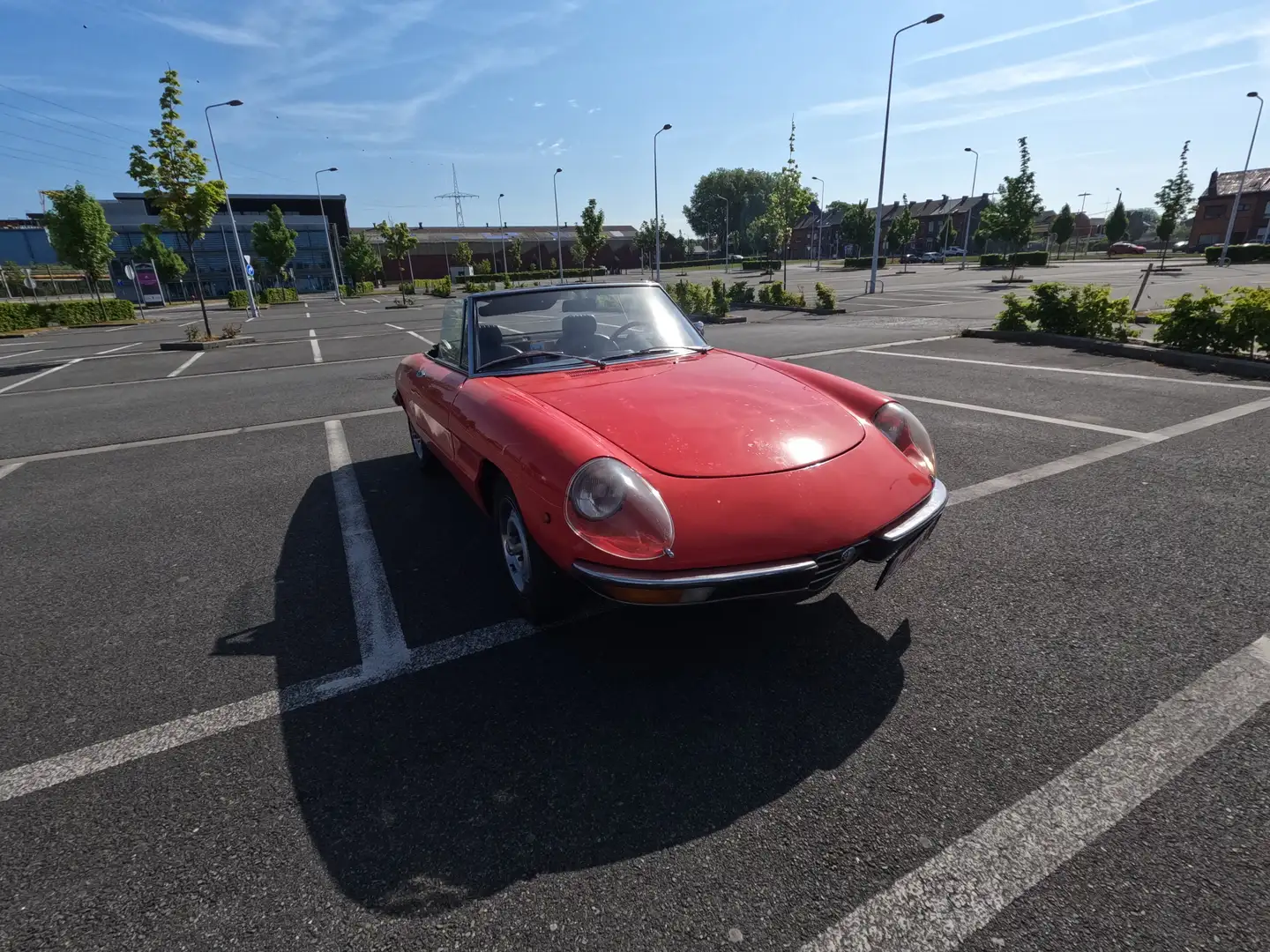 Alfa Romeo Spider Rood - 2