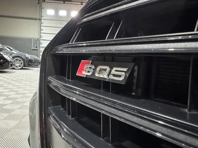 Audi SQ5 view 4