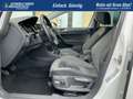 Volkswagen Golf Variant R-Line Edition AHK Navi Kamera Winterpaket Mass... White - thumbnail 16