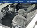 Volkswagen Golf Variant R-Line Edition AHK Navi Kamera Winterpaket Mass... White - thumbnail 17