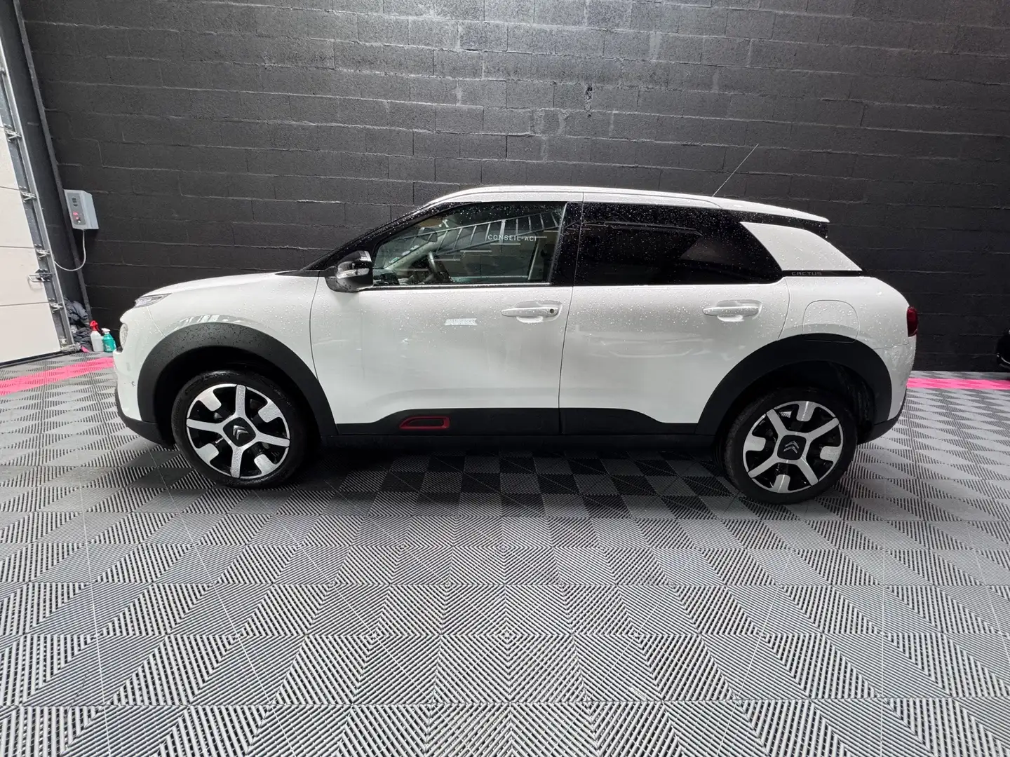 Citroen C4 Cactus Shine Blanco - 2