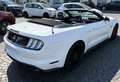 Ford Mustang 5.0 GT V8 Cabrio Weiß - thumbnail 8