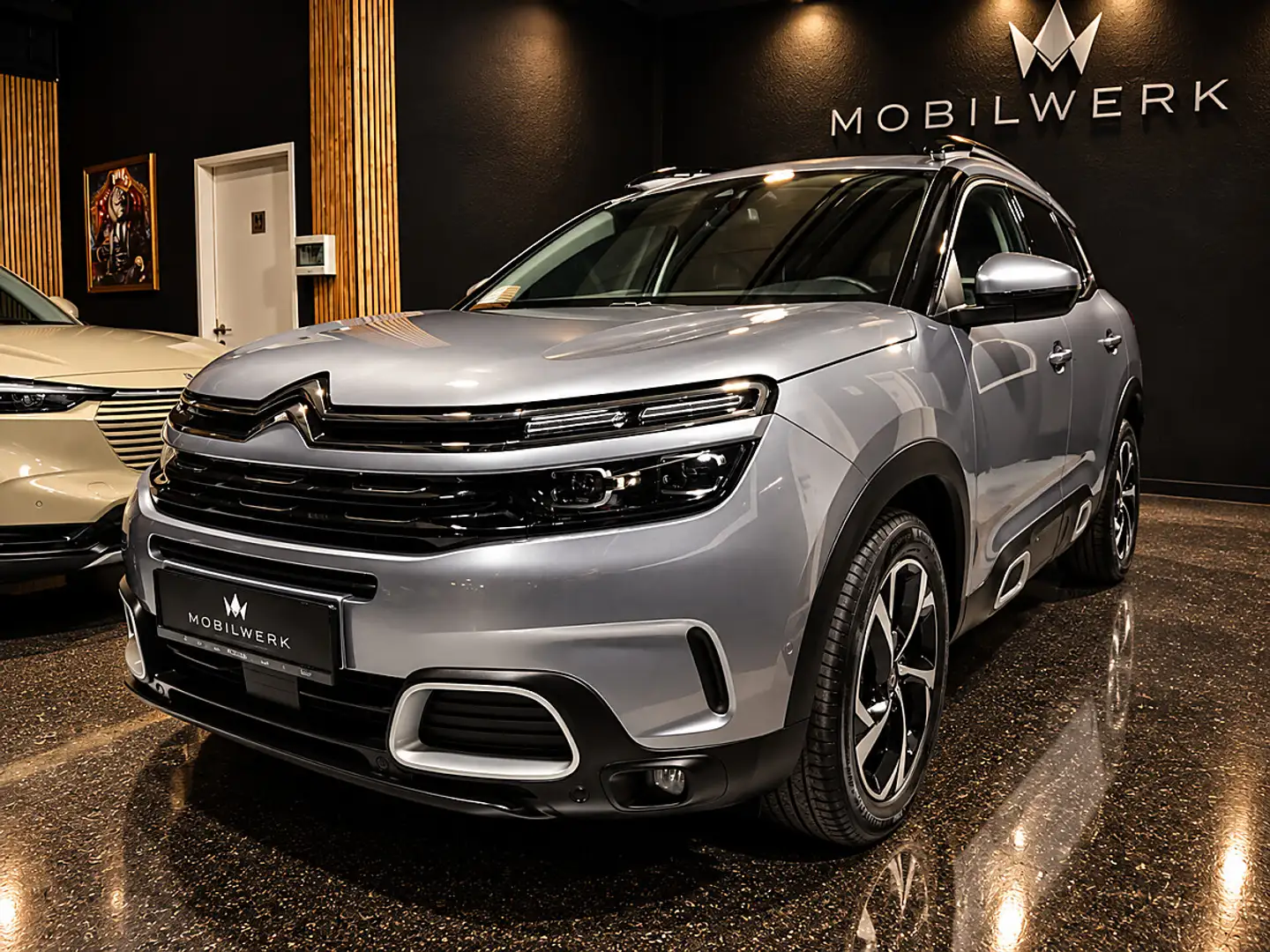 Citroen C5 Aircross BlueHDI 130 S&S Feel Silber - 1