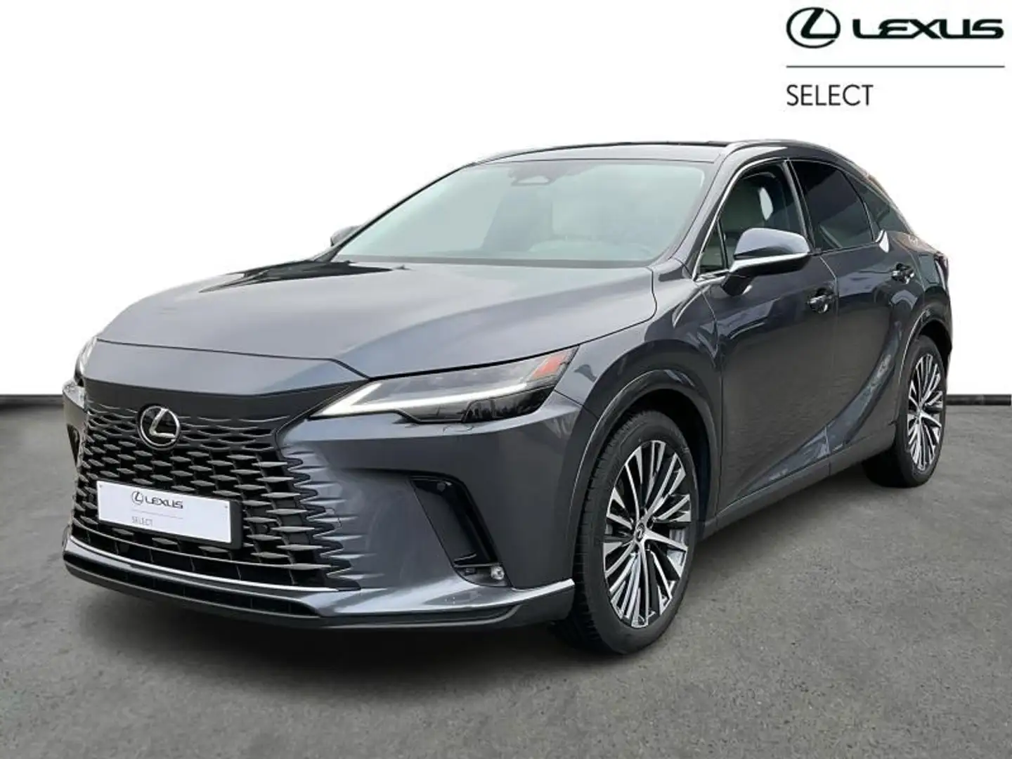 Lexus RX 450h Executive Line AWD PHEV Gris - 1