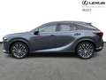Lexus RX 450h Executive Line AWD PHEV Gris - thumbnail 3