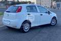 Fiat Punto Punto 1.3 MJT II S&S 95 CV 5 porte Street Blanco - thumbnail 5