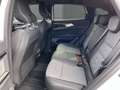 Renault Austral Techno 20-Zoll+SHZ+LED E-TECH 200 Full-Hybrid A... Weiß - thumbnail 6