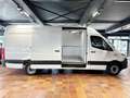 Mercedes-Benz Sprinter 317 MAXI TIEFKÜHLKASTEN -18°C/+4°C L3H2 3,5T 360°K Bílá - thumbnail 5