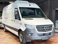 Mercedes-Benz Sprinter 317 MAXI TIEFKÜHLKASTEN -18°C/+4°C L3H2 3,5T 360°K Bílá - thumbnail 14
