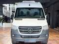 Mercedes-Benz Sprinter 317 MAXI TIEFKÜHLKASTEN -18°C/+4°C L3H2 3,5T 360°K Bílá - thumbnail 6