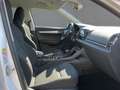 Skoda Karoq 2.0TDI 4x4 DSG AMBITION NAV+PDC+GRA+STDHZG Weiß - thumbnail 12