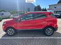 Ford EcoSport 1.0 ecoboost titanium 100cv Rood - thumbnail 6