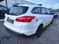 Ford Focus Focus 1.5 TDCi ECOnetic !problème moteur! Weiß - thumbnail 6