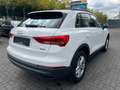 Audi Q3 40 TDI quattro basis/Panorama/Totwinkel Weiß - thumbnail 6