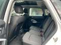 Audi Q3 40 TDI quattro basis/Panorama/Totwinkel Weiß - thumbnail 16