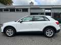 Audi Q3 40 TDI quattro basis/Panorama/Totwinkel Weiß - thumbnail 4