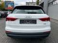Audi Q3 40 TDI quattro basis/Panorama/Totwinkel Weiß - thumbnail 7